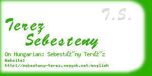 terez sebesteny business card